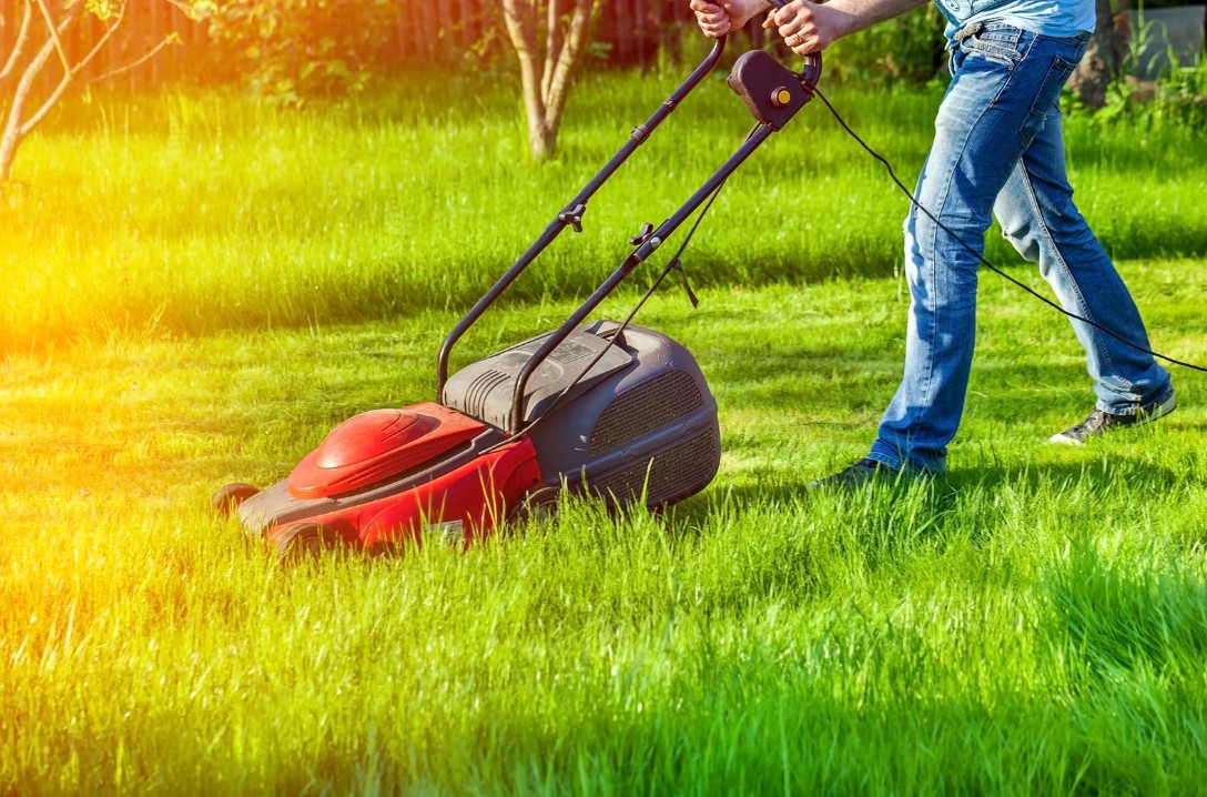 Как выбрать идеальную механическую газонокосилку для маленького участка