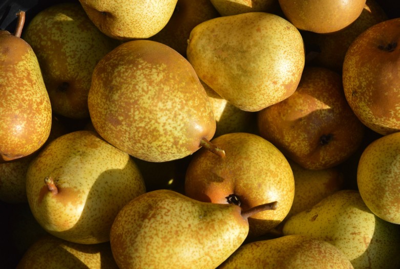 Посадка та формування колоновидної груші