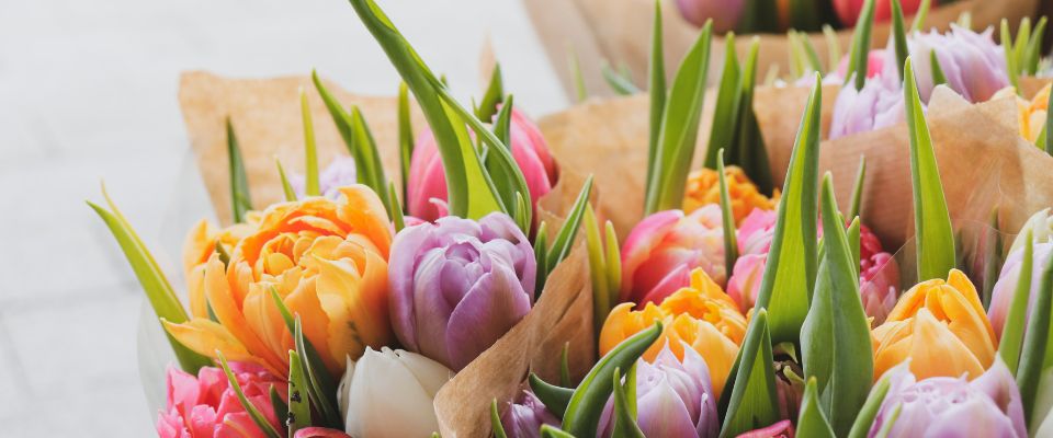 Які квіти дарувати у травні