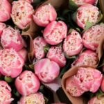 Пионовидные тюльпаны от Matla Flowers: эффект пиона на месяц раньше